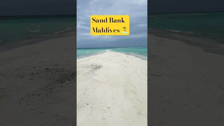 Sand Bank In Maldives #travel #explore #shorts #Maldives