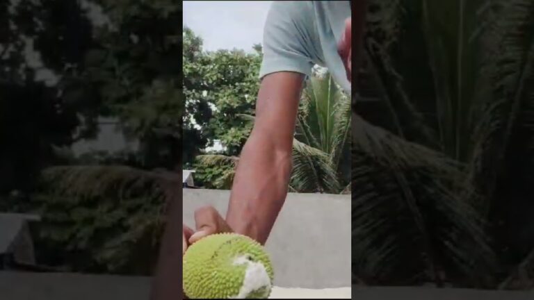 Maldives Local Fruits #shorts #viral #vlog#trending