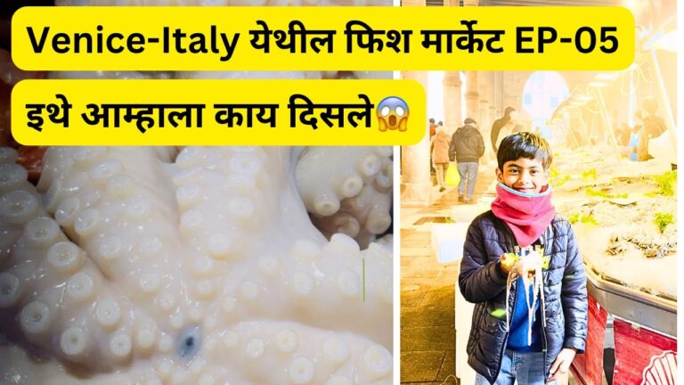 Venice-Italy येथील फिश मार्केट | इथे आम्हाला काय दिसले😱| marathi vlog 032 #spchallenge