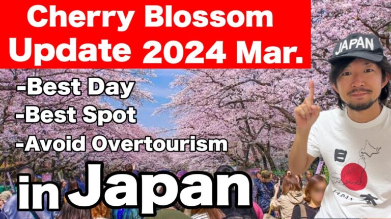 Spring Travel Tips – Japan's Cherry blossom Updates 2024  | Sakura in Japan 2024