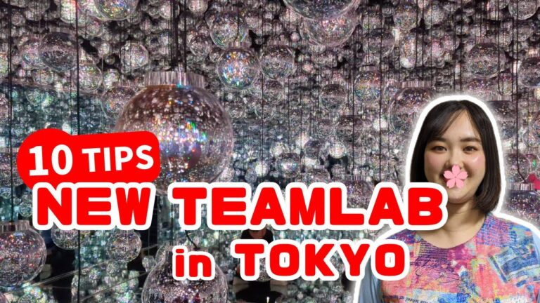 10 New Things to Know Before Traveling to TeamLab Borderless in Azabudai Tokyo 2024