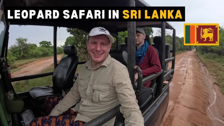 Yala Park Safari: Did We Spot The Elusive Leopard? 🇱🇰