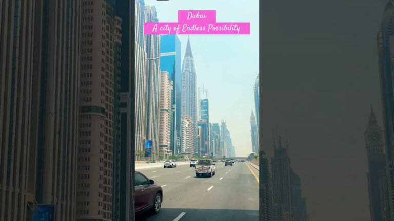 Dubai have Endless Possibilities #travel #shortvideo #shorts #ytshorts #short #beautiful #cute