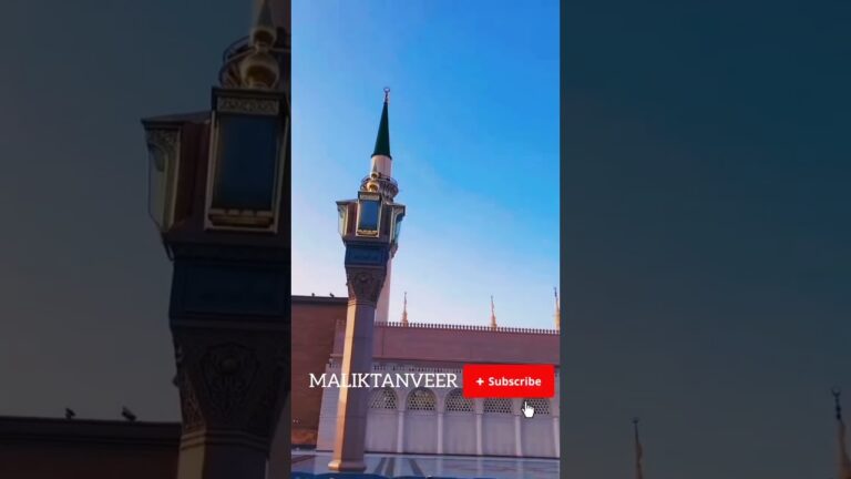 #maliktanveer #live #madina #newnaat2024 #travel #live #naat #newnaat #viral #trending #reels#vlogs