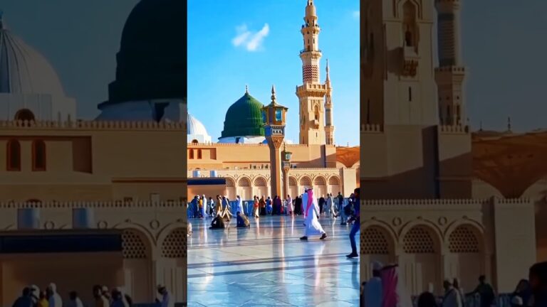 #mt #maliktanveer #live #madina #kabbah #travel #naat#newnaat #viral #trending #reels #vlogs #video