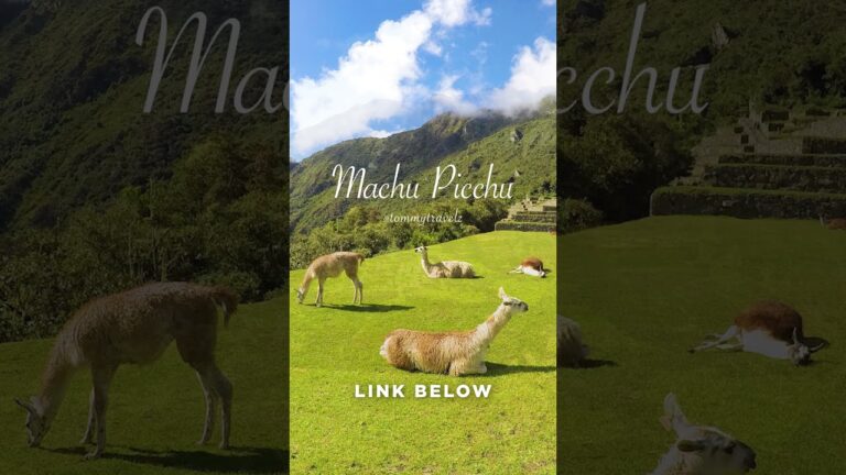 #machupicchu #machupicchuperu #machupicchutravel #peru #cuscoperu #wondersoftheword #travelperu