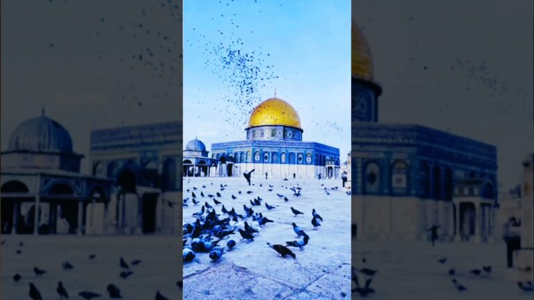 Masjid e Aqsa ko hain phir se #newnaat #status #trending #viral #palestine #video #short #vlog 59